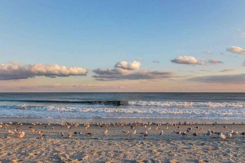 *Renovated Oceanfront Condo*Queen Beds*Pools*Hot Tubs*More*P220 Myrtle Beach Exteriör bild