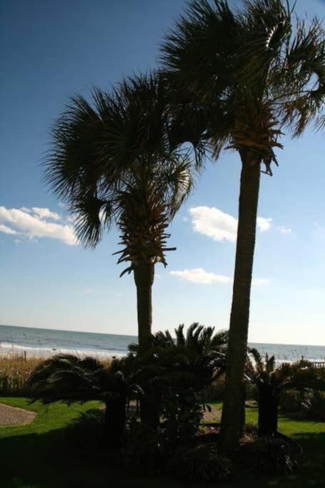 *Renovated Oceanfront Condo*Queen Beds*Pools*Hot Tubs*More*P220 Myrtle Beach Exteriör bild